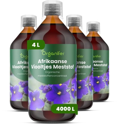 Vloeibare Meststof Voor Afrikaanse Viooltjes - 4X1 L Voor 4000 L - Npk 3-4-3 Voor Heldere Bloemen - Sterke Wortels - Compacte Plantstructuur - Diepe Bladkleur - Betrouwbare Bloei - Knopvorming - Kamerplanten - Organifer