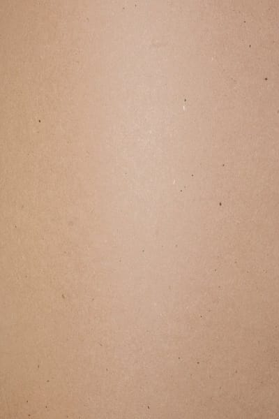 Netuno - bruin ecologisch papier - A4 - 21 x 29,7 cm - 10 vellen - 240 gram - Flora Cannella