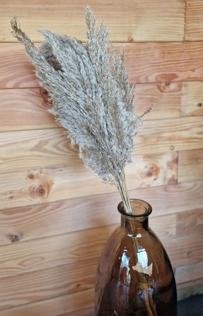 Bundel Gedroogd Pampas Gras Naturel - 120 cm - 5 Stelen - Pampasgras – Pampas Pluimen - Droog Boeket - Beige