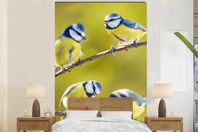 Behang - Fotobehang Vogel - Pimpelmees - Takken - Zon - Breedte 170 cm x hoogte 260 cm