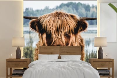 Behang - Fotobehang Koeien - Schotse hooglander - Bruin - Natuur - Breedte 350 cm x hoogte 350 cm