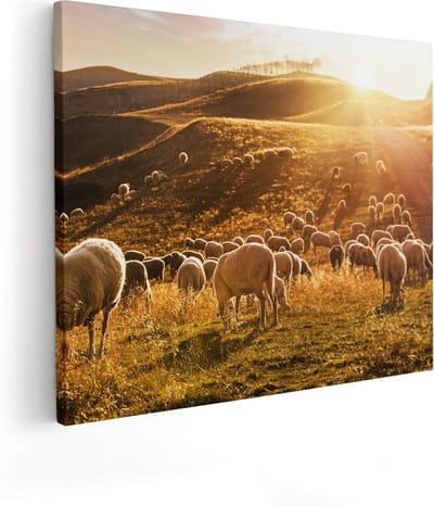Artaza Canvas Schilderij Kudde Schapen - 50x40 cm - Wanddecoratie Dieren - Muurdecoratie Zonsondergang - Schilderijen Op Canvas