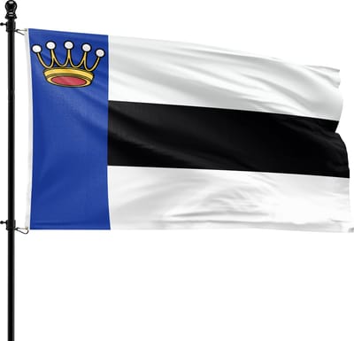 VlagDirect - Heerenveen vlag - Gemeente Heerenveen vlag - 90 x 150 cm.