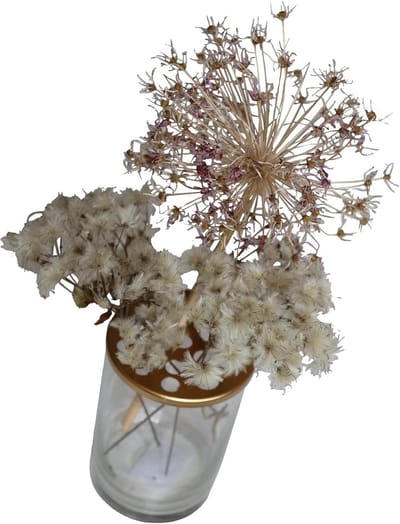 Moderne Glazen Vaas met Deksel voor Droogbloemen en Verse Bloemen - Rond en Helder