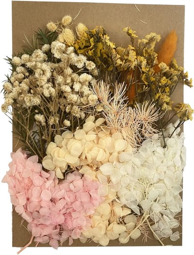 Natuurlijke gedroogde bloemenmix voor knutselen, scrapbooking en decoratie