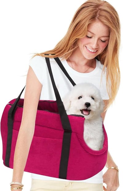 Dieren Transporttas - Reistas Huisdier - Veilig Vervoer - Ademend Duurzaam Materiaal - 50 x 25 x 28 cm