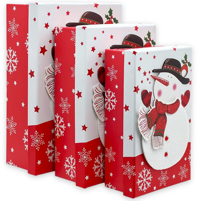 Dailygoods- Geschenkdoos 3-delige set - Geschenkdozen - Cadeauverpakking - Kerstmis - 3D-motief (sneeuwman) - Perfect voor feestdagen