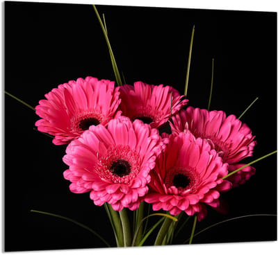 TMK ArtDeko Serie - Glazen Keukenpaneel - 65x60 cm - Gerbera - Veelzijdige Toepassingen