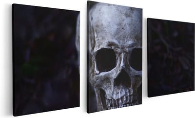 Artaza Canvas Schilderij Drieluik Schedel - Doodshoofd - 120x60 - Foto Op Canvas - Canvas Print