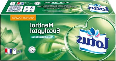Zakdoeken - Papieren zakjes - Verlichting luchtwegen - Menthol verrijkt - 15 vellen - Groen