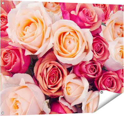 Gards Tuinposter Roze Rozen Achtergrond - Bloemen - 100x80 cm - Tuindoek - Tuindecoratie - Wanddecoratie buiten - Tuinschilderij