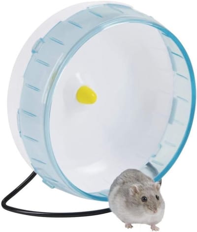 Loopwiel Knaagdier - Dierenwiel Speelwiel - Bewegen en Spelen - Vrijstaand of Ophangbaar - Diameter 20cm - Transparant