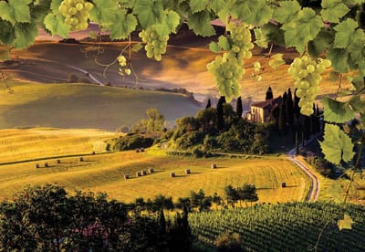 Fotobehang Landscape Italian Meadow Hills Nature | XL - 208cm x 146cm | 130g/m2 Vlies