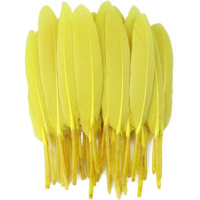 50/100/200 stuks Blauwe Ganzenveren Harde Schacht 4-6inch/10-15cm Echte Natuurlijke Zwanenveer Huis Decoratief Dromenvanger Handwerk 50Pieces