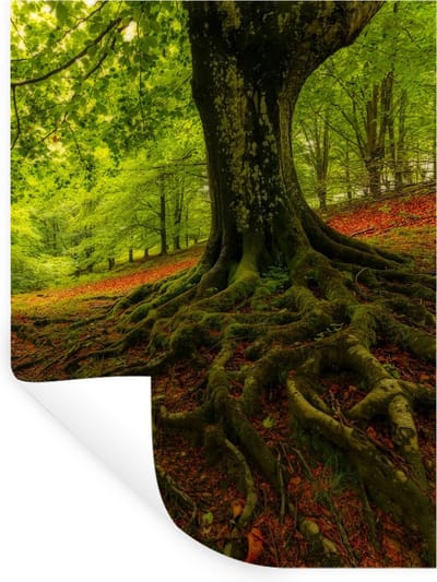 Muurstickers - Sticker Folie - Boom - Bos - Herfstbladeren - 30x40 cm - Plakfolie - Muurstickers Kinderkamer - Zelfklevend Behang - Zelfklevend behangpapier - Stickerfolie