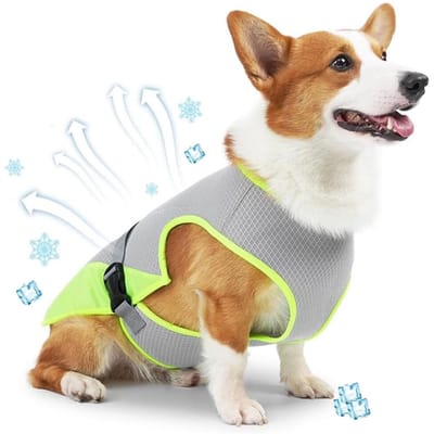 Koelvest Hond L - Coolvest - Verkoelende Jas - Cooling Vest - Koeljas Hond - Verkoeling Hond - Ademende Mesh Hondenjas - UV-bescherming - Verstelbaar - Verkoelende Harnas - Verkoelende Hondenvest - ijsvest - Grijs
