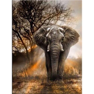 5D Diamond schilderij zonsondergang Afrikaanse grasland olifant Cross Stitch Kit volledige ronde diamant borduurwerk 20X30CM