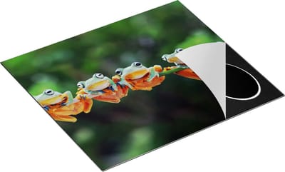 Chefcare Inductie Beschermer Groep Kikkers op een Tak - 60x50 cm - Afdekplaat Inductie - Kookplaat Beschermer - Inductie Mat