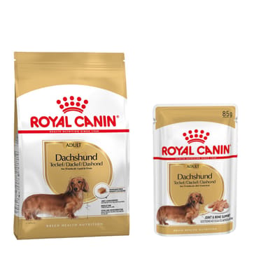 Royal Canin Dachshund Adult - Hondenvoer - 7,5 kg - Volwassen Teckel