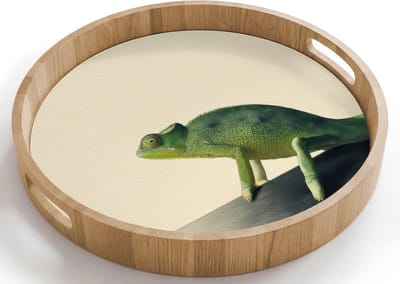 Dienblad rond 40x40 cm - Schootdienblad hout - Kameleon - Groen - Minimalistisch - Borrelplank rechthoek - Plateau houten dienbladen