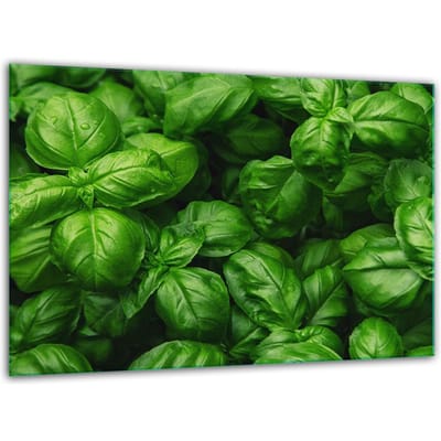 TMK ArtDeko - Gehard Glazen Snijplank - 30x22cm - Basilicum - Krasbestendig
