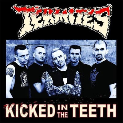 The Termites - Kicked In The Teeth (CD)
