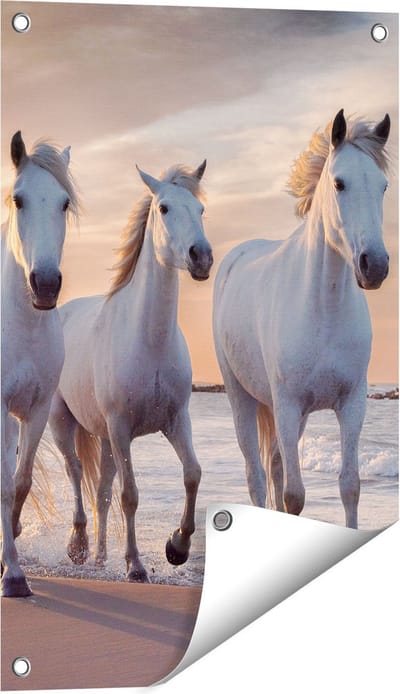 Gards Tuinposter Witte Paarden op het Strand bij Water - 40x60 cm - Tuindoek - Tuindecoratie - Wanddecoratie buiten - Tuinschilderij