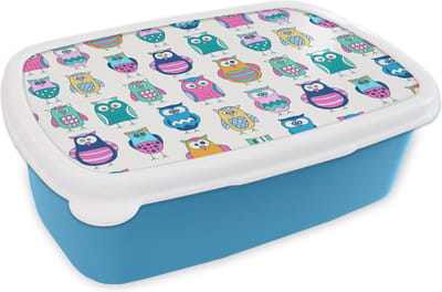 Broodtrommel Blauw - Lunchbox - Brooddoos - Regenboog - Uil - Cartoon - 18x12x6 cm - Kinderen - Jongen