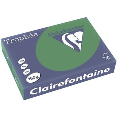 Clairefontaine Biljartgroen A4 Gekleurd papier 160 grams (250 vel)