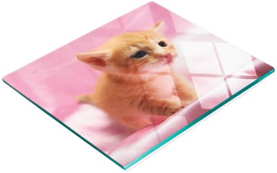 Duurzame en stijlvolle snijplank van gehard glas met kattenpatroon, 60x52 cm