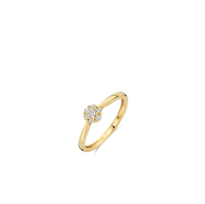 Blush Ring 1248YZI/54 14k Geelgoud met Zirkonia Maat54