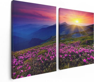 Artaza Canvas Schilderij Tweeluik Roze Rhododendron Bloemenveld - Bergen - 120x80 - Foto Op Canvas - Canvas Print