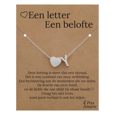 Letter Y ketting op Cadeau Kaartje - Een letter, een belofte - 45cm Zilverkleurig Stainless Steel - Initiaal & Hartje Hanger - Pax Amare
