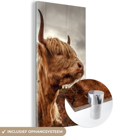 MuchoWow® Glasschilderij 20x40 cm - Schilderij acrylglas - Schotse Hooglander - Struik - Heide - Foto op glas - Schilderijen