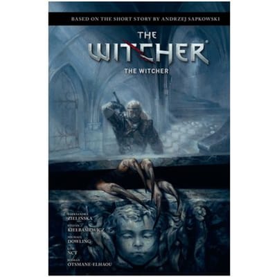 Andrzej Sapkowski's The Witcher: The Witcher - Witcher - Andrzej Sapkowski