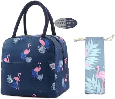 Dailygoods- Lunchtas Isolerend - Koeltas Volwassenen/Kinderen - Robuuste Handgrepen - Groot Voorvak - Afmetingen 22 x 14 x 21 cm