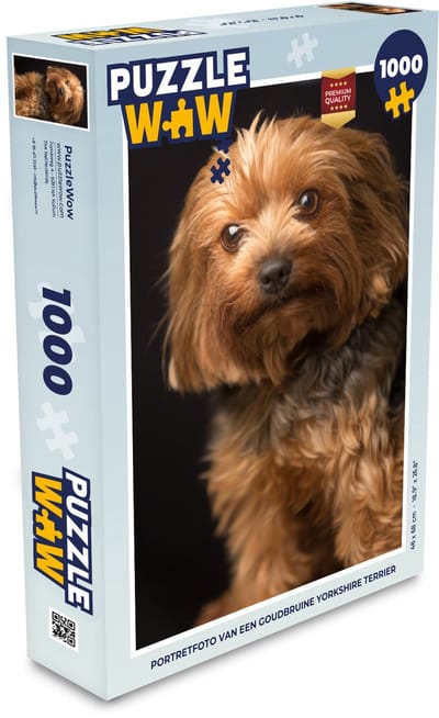 Puzzel Portretfoto van een goudbruine Yorkshire Terrier - Legpuzzel - Puzzel 1000 stukjes volwassenen