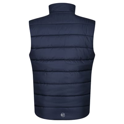 Regatta Thermische bodywarmer Navigate voor heren (Marine / Frans Blauw)