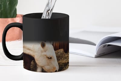 Magische Mok - Foto op Warmte Mokken - Koffiemok - Dieren - Paard - Paarden - Magic Mok - Beker - 350 ML - Theemok