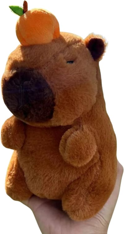 Nivard Knuffel - Knuffelbeer - Knuffeldoekje - Groot - Meme - Baby - Capibara - Stuffed Animal - Plushie - Plush - Dier - 6