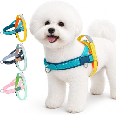 Handentuigje Anti-Trek - Verstelbaar T-tuigje Maat XS - met Handvat - Nylon - Anti-verstikking - Geschikt voor Honden Uitlaten en Dagelijkse Wandeling - Voor kleine en middelgrote honden - Blauw/geel