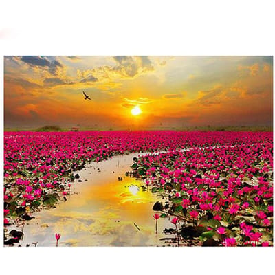 Diamant schilderij bloem veld landschap volledige ronde diamant borduurwerk lotus zee kruissteek kristal 20X30CM beige