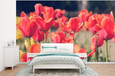 Behang - Fotobehang Tulpen - Bloemen - Natuur - Breedte 400 cm x hoogte 300 cm