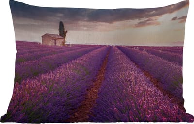 Buitenkussens - Tuin - Lavendel - Bloemen - Paars - Veld - 50x30 cm