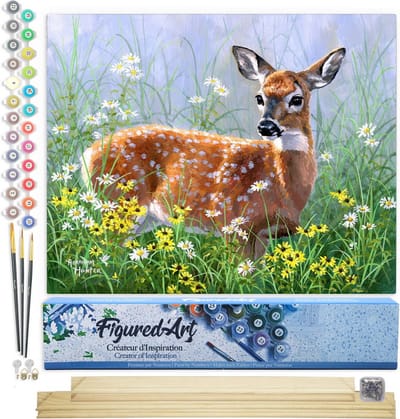 Figured'Art Schilderen op Nummer Volwassenen canvas Hert in de weide - Handwerk acrylverf Kit DIY Compleet - 40x50cm met DIY houten lijst