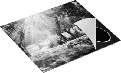 Chefcare Inductie Beschermer Olijfbomen - Olijfboomgaard - Zwart Wit - 60x50 cm - Afdekplaat Inductie - Kookplaat Beschermer - Inductie Mat