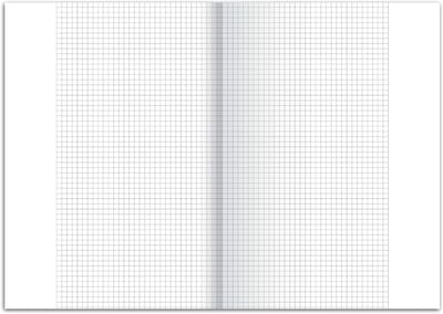 Grafiek Papier - Tekenen Papier - Ontwerpen Tekenen - Met Marges - A3 250 Vellen - Wit