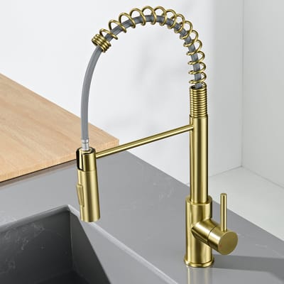 CECIPA max Keukenkraan met Uittrekbare Uitloop - Keukenmengkraan - Handdouche - Uittrekbaar - Flexibele Slang - Goud