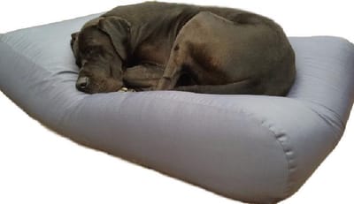 Dog's Companion - Hondenkussen / Hondenbed staalgrijs vuilafstotende coating small - S - 70x50cm