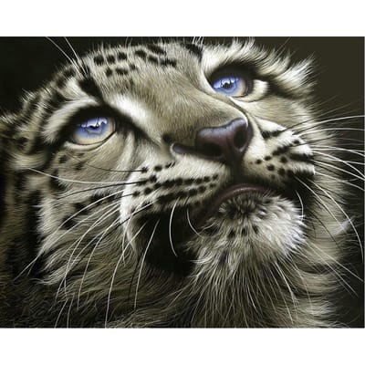5D DIY Diamond schilderij luipaard hoofd volledige ronde Diamond Kit schilderij borduurwerk 20X30CM